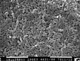 Sodium Carbonate Granules Application: Water Treatment