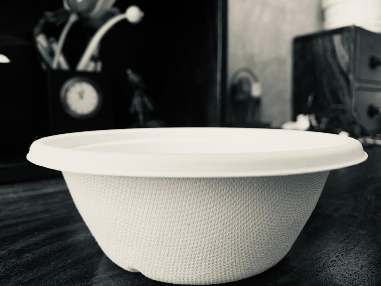 Biodegradable 500ml Container With Lid