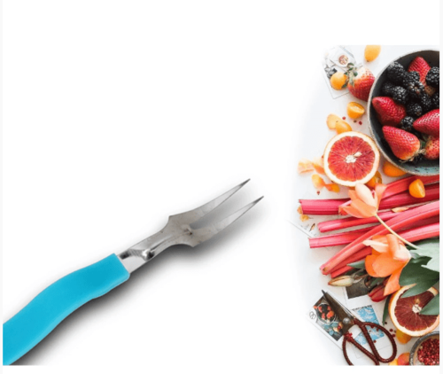 मैग्नीशियम एल्यूमीनियम स्टेनलेस स्टील फ्रूट फोर्क 10 पीस का सेट