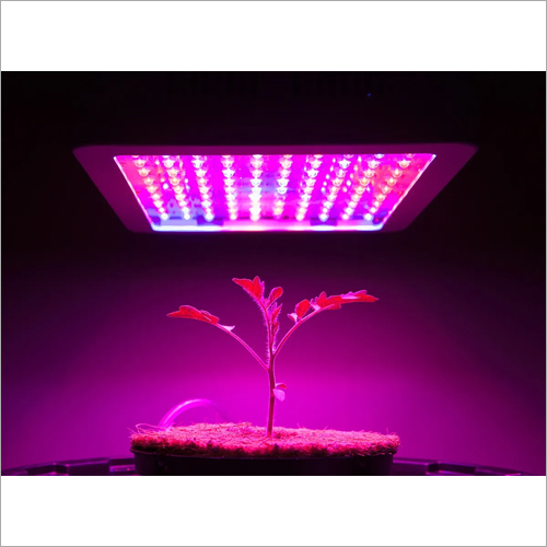 Horticulture Grow Light - Material Any, Size Different Sizes Available, Color White | Rectangular Shape, White Light Color, Versatile Usage for Horticulture