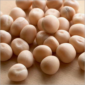 पीली मटर