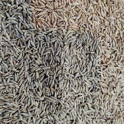 Cumin Seed