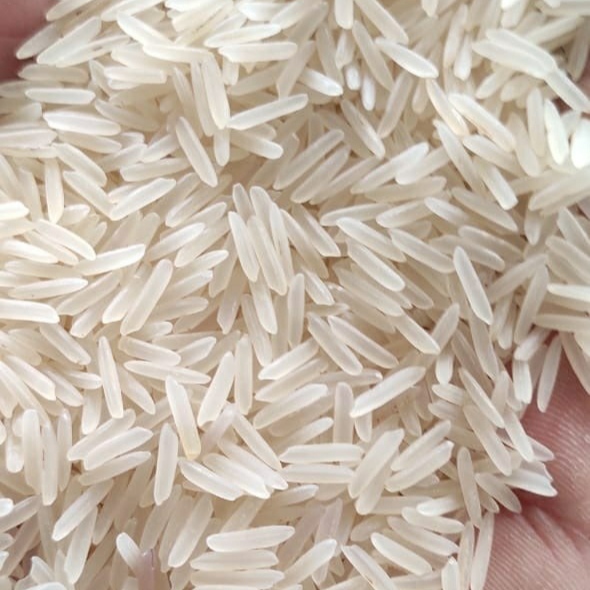 Organic Basmati Rice - Long Grain White, 100% Pure Silky Sortex Clean | Dried, Low Broken Ratio, 12% Max Moisture