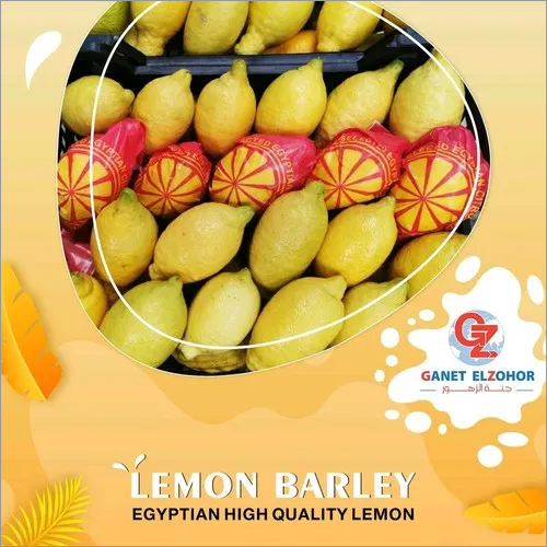 प्राकृतिक पीला नींबू जौ