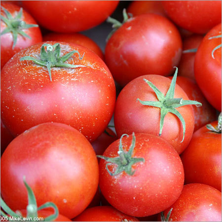 Tomatoes