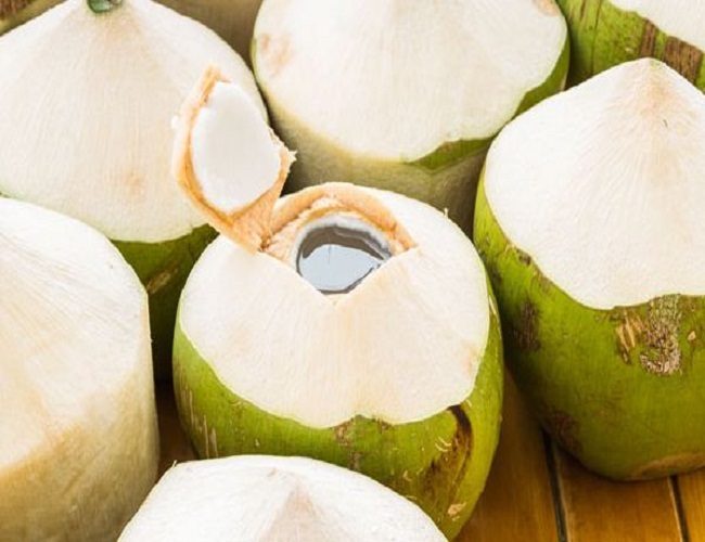 Fresh Coconut - Large A Grade Organic Whole Husk, 500 Gm In Gunny Bag (14.5 Kg) | Minimum Order 10 Pieces