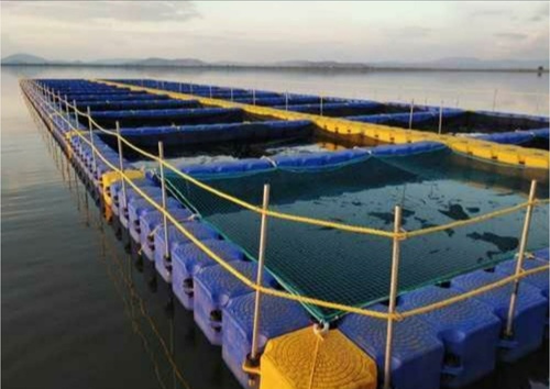 Modular Fish Cage Culture Pontoon - HDPE Material, Variable Dimensions, Blue Color | Cost-Effective, Durable Structure, Easy Assembly, Efficient Farming, Modular Design, Scalable System