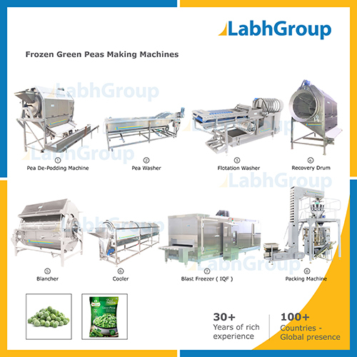 स्वचालित Iqf फ्रोजन ग्रीन मटर बनाने की मशीन की क्षमता: 1000 किलोग्राम/घंटा