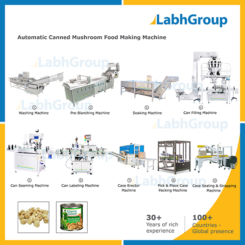 Automatic Canned Mushroom Food Making Machines Capacity: 1000 Kg/Hr
