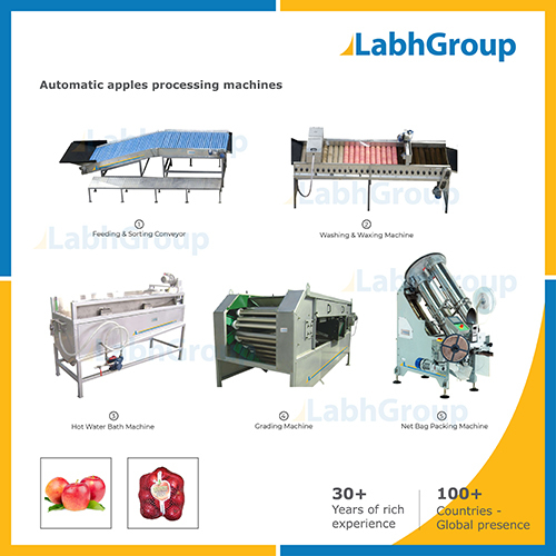 Fresh Apple Processing Machines Capacity: 1000 Kg/Hr