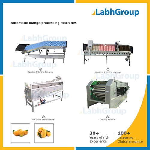 Fresh Mango Processing Machines Capacity: 1000 Kg/Hr
