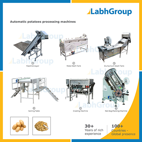 Fresh Potato Processing Machines Capacity: 1000 Kg/Hr