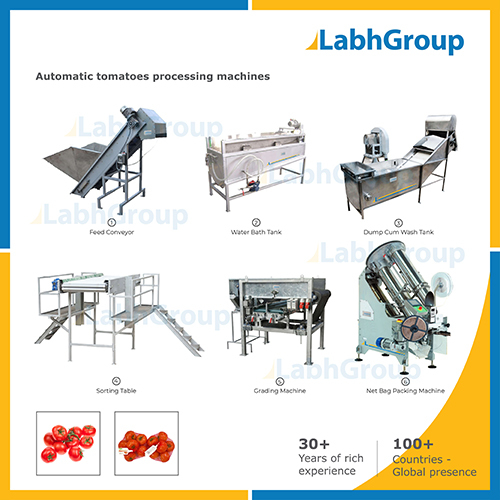 Fresh Tomato Processing Machines Capacity: 1000 Kg/Hr