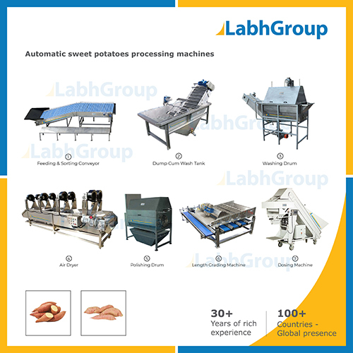 Sweet Potato Processing Machines Capacity: 1000 Kg/Day