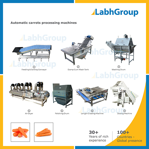 Fresh Carrot Processing Machines Capacity: 1000 Kg/Day