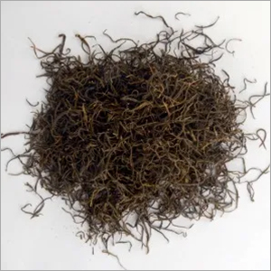 सूखी प्रोसोपिस सिनेरिया