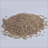 Cumin Seeds