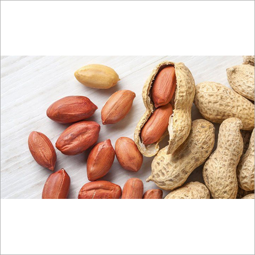 Common Fresh Groundnut