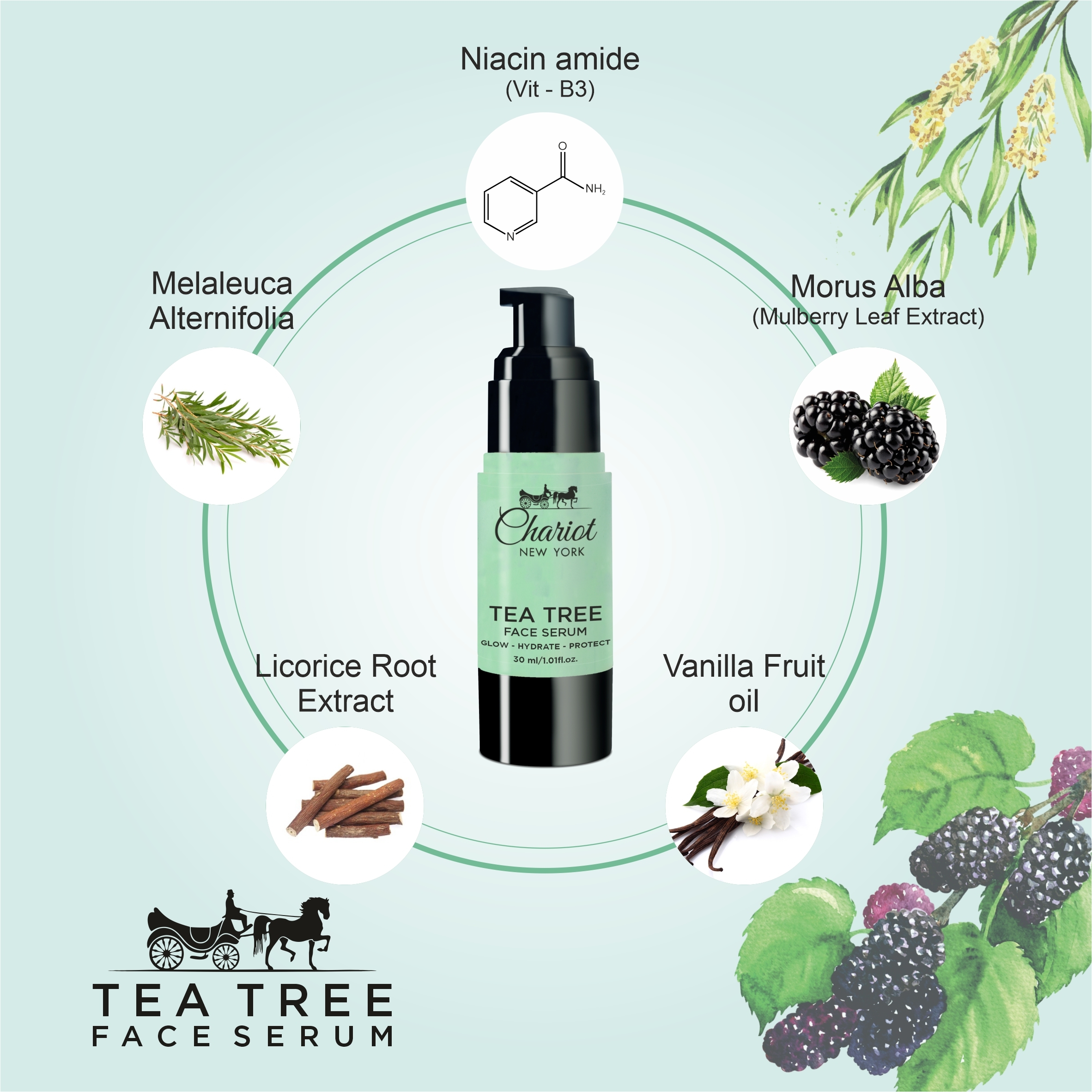 Chariot New York Tea Tree Face Serum For Men And Women 30 Ml Age Group: 15-70