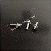 Silver Brass Rivet Screw