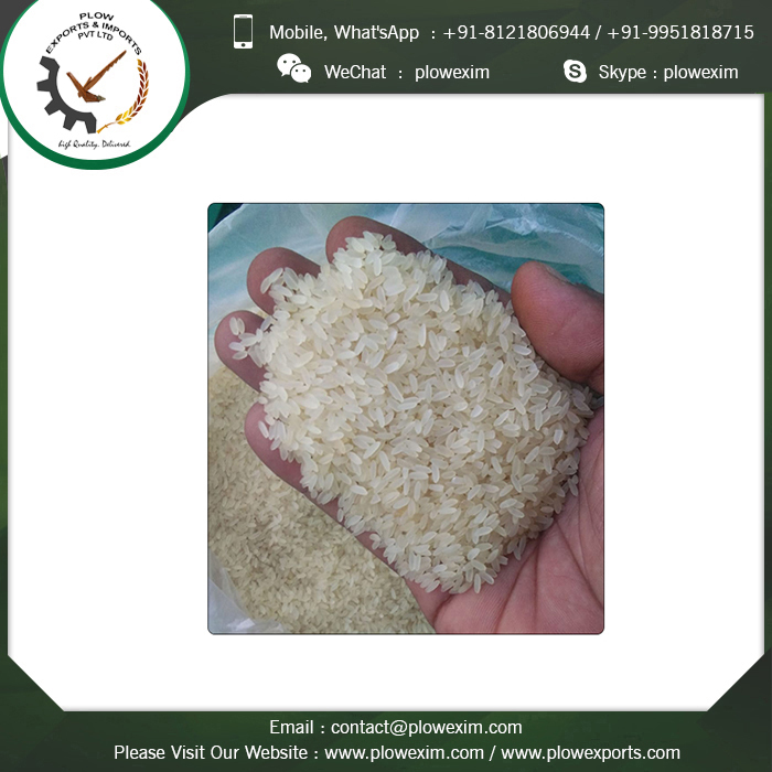 Long Grain 100% Broken Indian Rice Admixture (%): 5