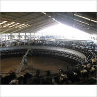 सिल्वर रोटरी मिल्किंग पार्लर