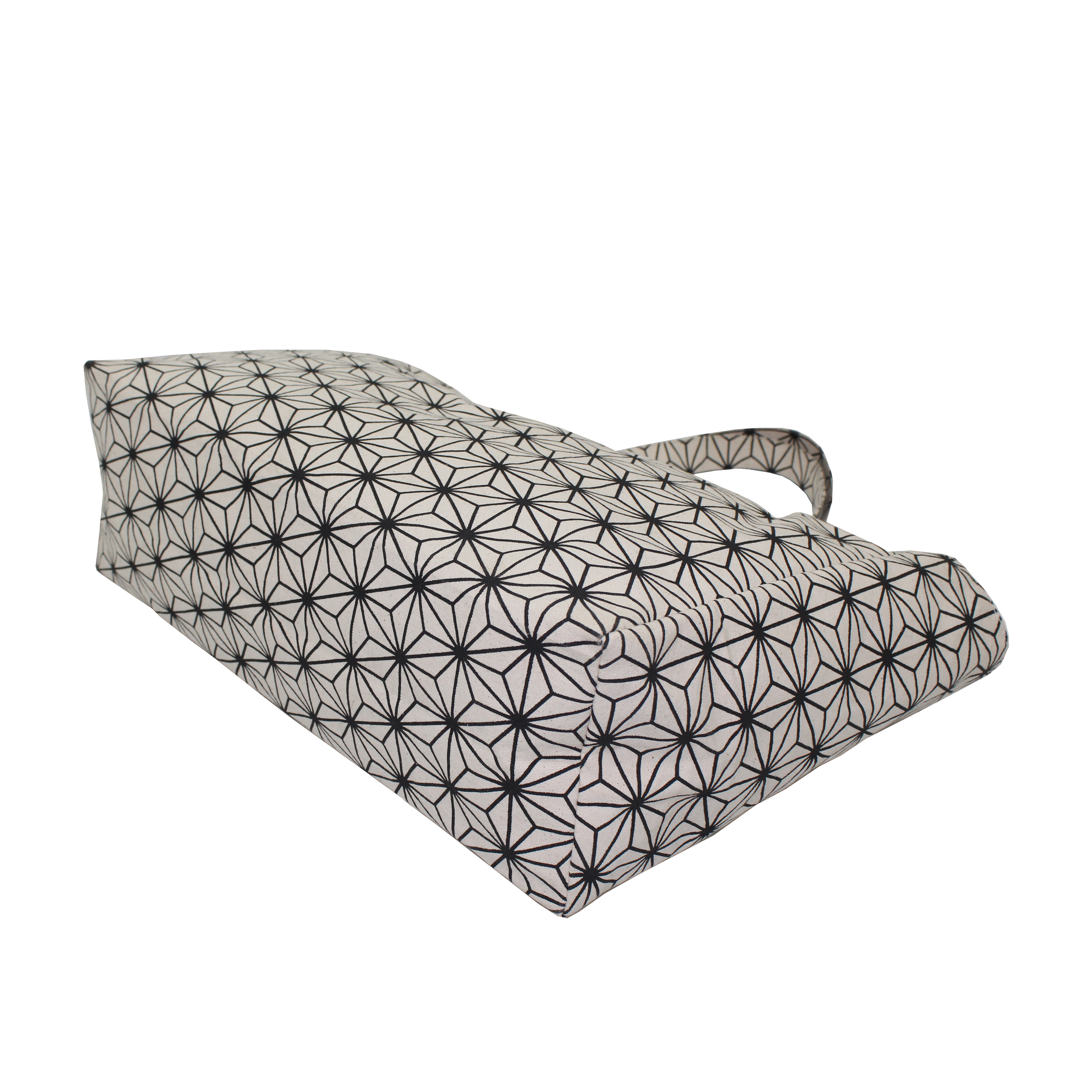 Printed Canvas Hand Bag Capacity: 10 Kgs Kg/day