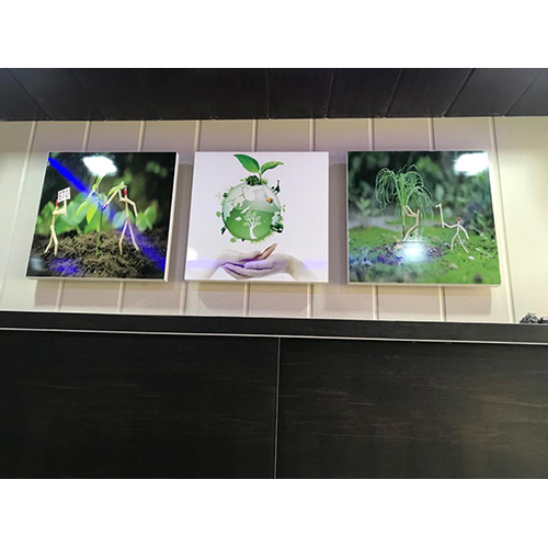 Pvc Wall Paneling - Pvc Material, Various Dimensions, White Color | Easy Install, Moisture Proof, Durable, Conceals Imperfections, Modern Look, Cost Effective, Low Maintenance