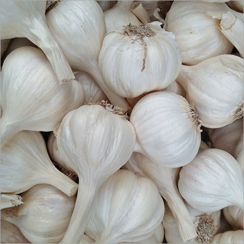 ऊषा लहसून