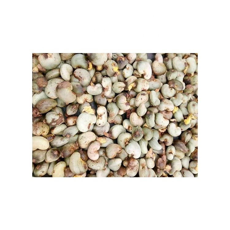 Raw Cashew Nut