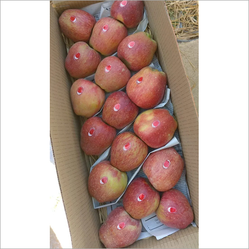 Fresh Apple - Red Delicious, 7-10 Cm Diameter, 150-250g Weight | Asthma Relief, Cancer Prevention, Diabetes Control, High Fiber, Skin Rejuvenation, Weight Loss