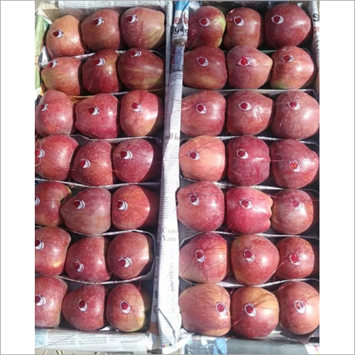 Fresh Apple - Red Delicious, 7-10 Cm Diameter, 150-250g Weight | Asthma Relief, Cancer Prevention, Diabetes Control, High Fiber, Skin Rejuvenation, Weight Loss