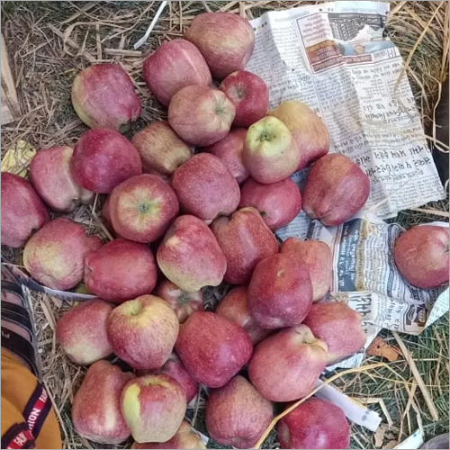 Fresh Apple - Red Delicious, 7-10 Cm Diameter, 150-250g Weight | Asthma Relief, Cancer Prevention, Diabetes Control, High Fiber, Skin Rejuvenation, Weight Loss