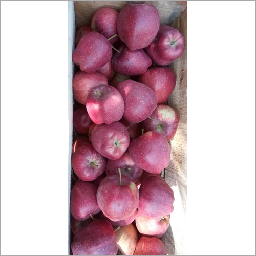 Fresh Apple - Red Delicious, 7-10 Cm Diameter, 150-250g Weight | Asthma Relief, Cancer Prevention, Diabetes Control, High Fiber, Skin Rejuvenation, Weight Loss
