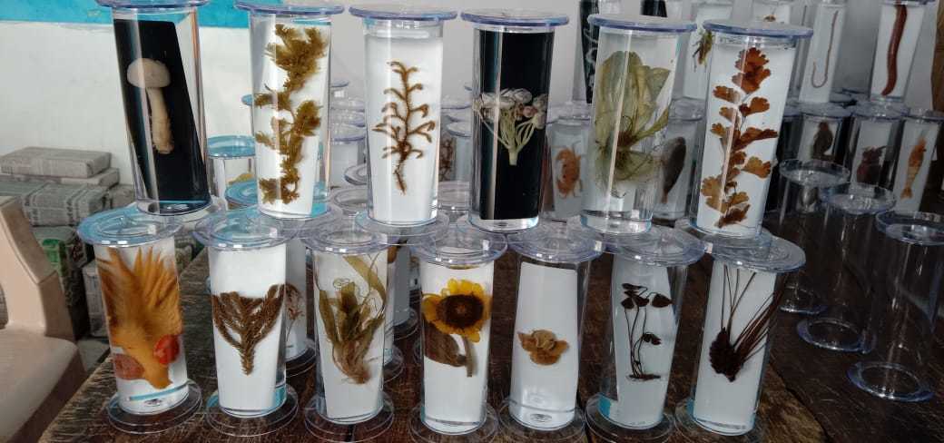 Specimen Jar By Sharma Scientific Industries