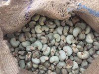 High Quality lbs Natural Raw Cashew Nut 2020 Season!  For Sale