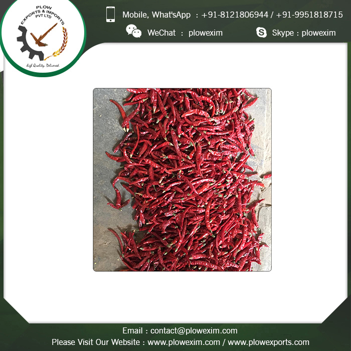 Teja S17 Dry Red Chilli Grade: Top Grade