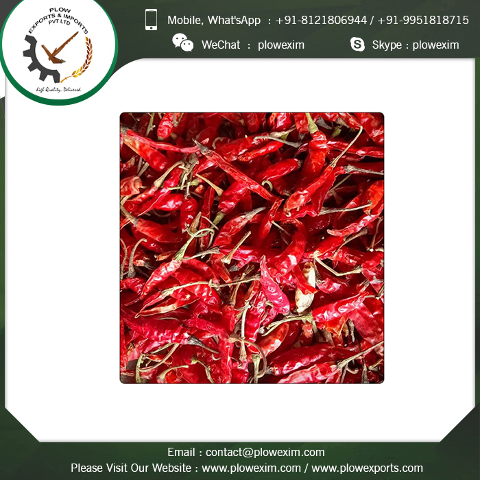 Dry Red Teja S17 Chilli - Whole Form, 6 To 8 Cm Length, Bright Red Color | Top Grade Quality, Spicy Flavor, Long Shelf Life Of 24 Months