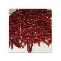 Latest Dry Red Teja S17 Steamless Chilli