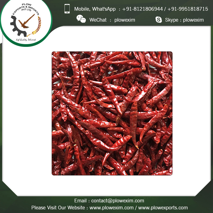 Spicy Dry Red S17 Teja Steamless Chilli Grade: Top Grade
