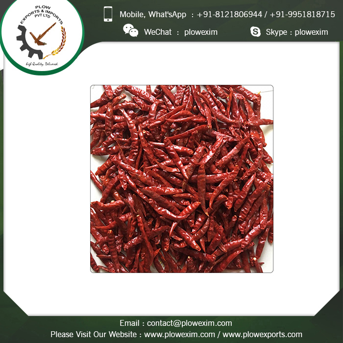 Spicy Dry Red S17 Teja Steamless Chilli Grade: Top Grade