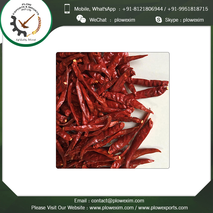 Teja S17 Red Chili - Stemless, 6-8 Cm Length, Bright Red Color | Top Grade Dry Red Chili, Spicy Flavor, Long Shelf Life Of 24 Months