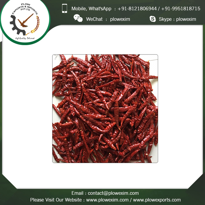 Teja S17 Red Chili - Stemless, 6-8 Cm Length, Bright Red Color | Top Grade Dry Red Chili, Spicy Flavor, Long Shelf Life Of 24 Months