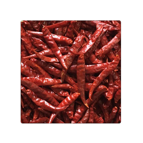 Red Steamless Chilli Teja S17 - 6 to 8 cm Length, Bright Red Color | Top Grade, Spicy Taste, Long Shelf Life of 24 Months