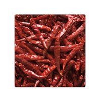Dried Steamless Red Teja S17 Chilli