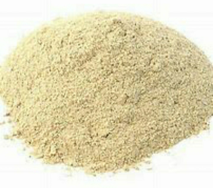 White Natural Organic Oyster Mushroom Powder