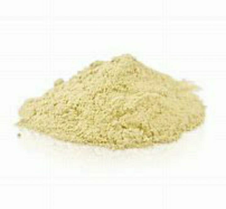 White Natural Organic Oyster Mushroom Powder