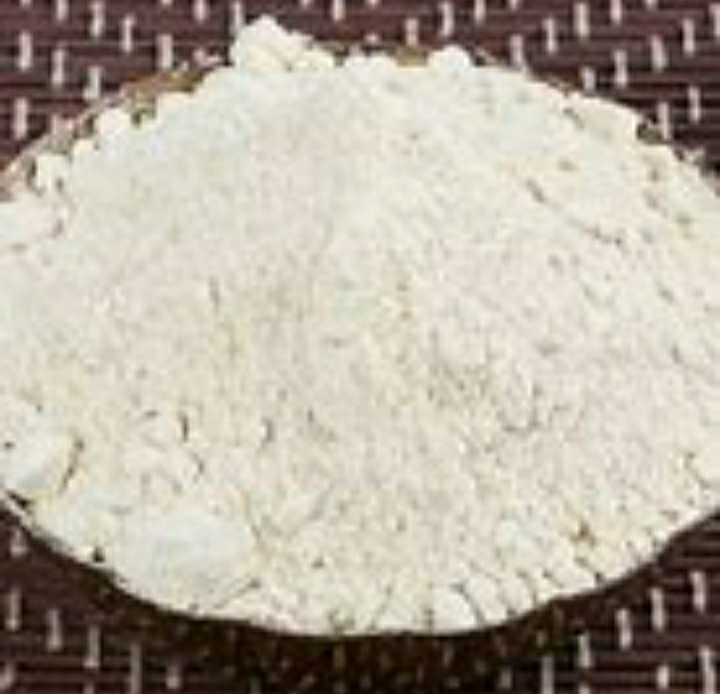 White Natural Organic Oyster Mushroom Powder
