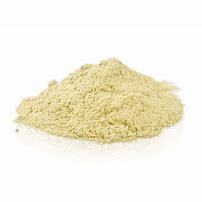 White Natural Organic Oyster Mushroom Powder