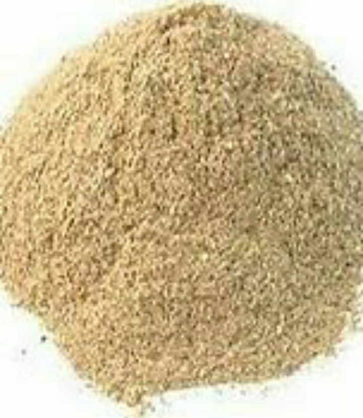 White Natural Organic Oyster Mushroom Powder